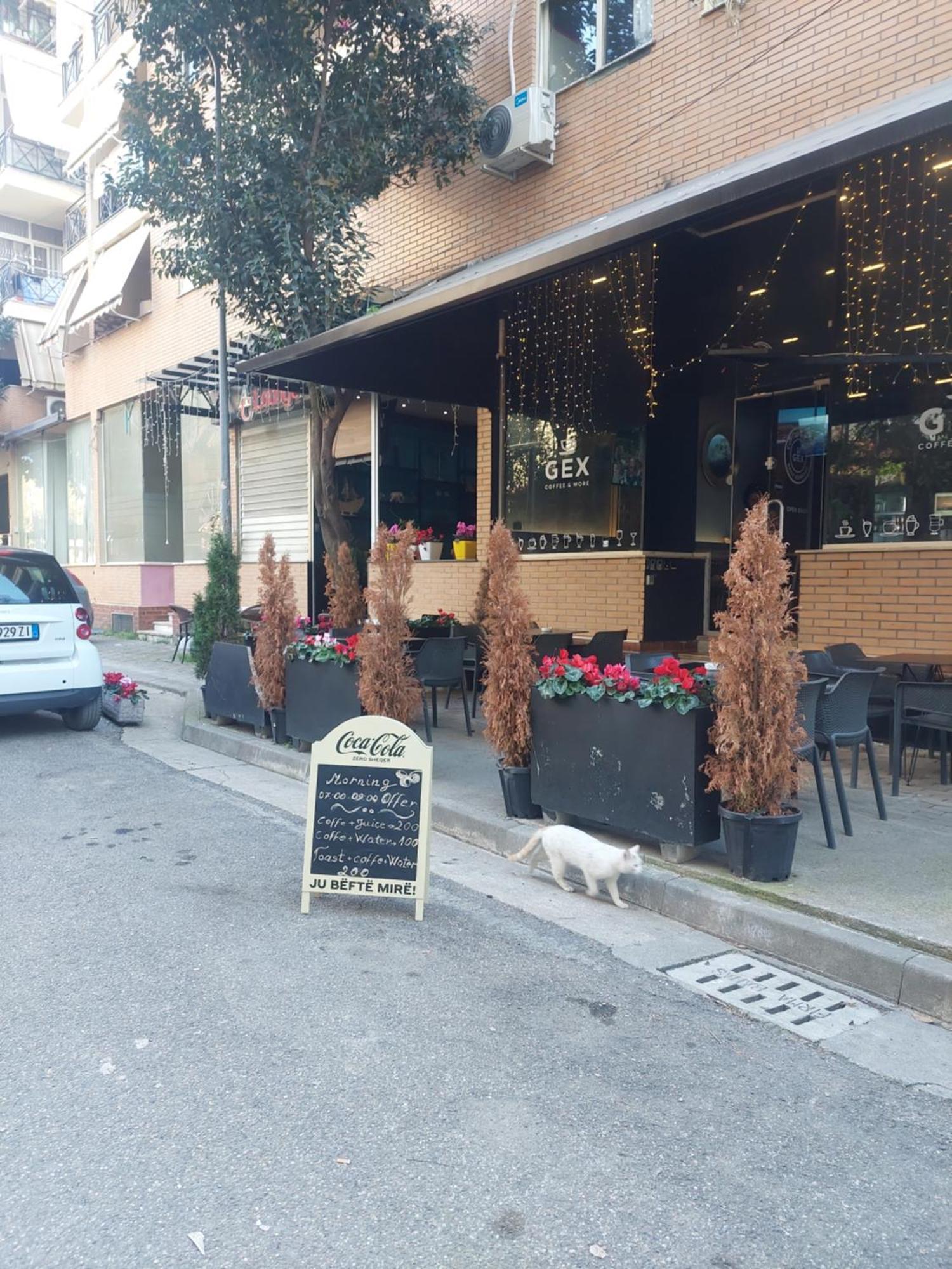 Gex Apartments 地拉那 外观 照片